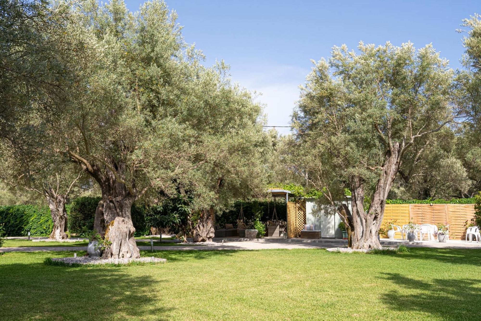 Elaia - Apartments & Studios Lefkada City Exterior photo