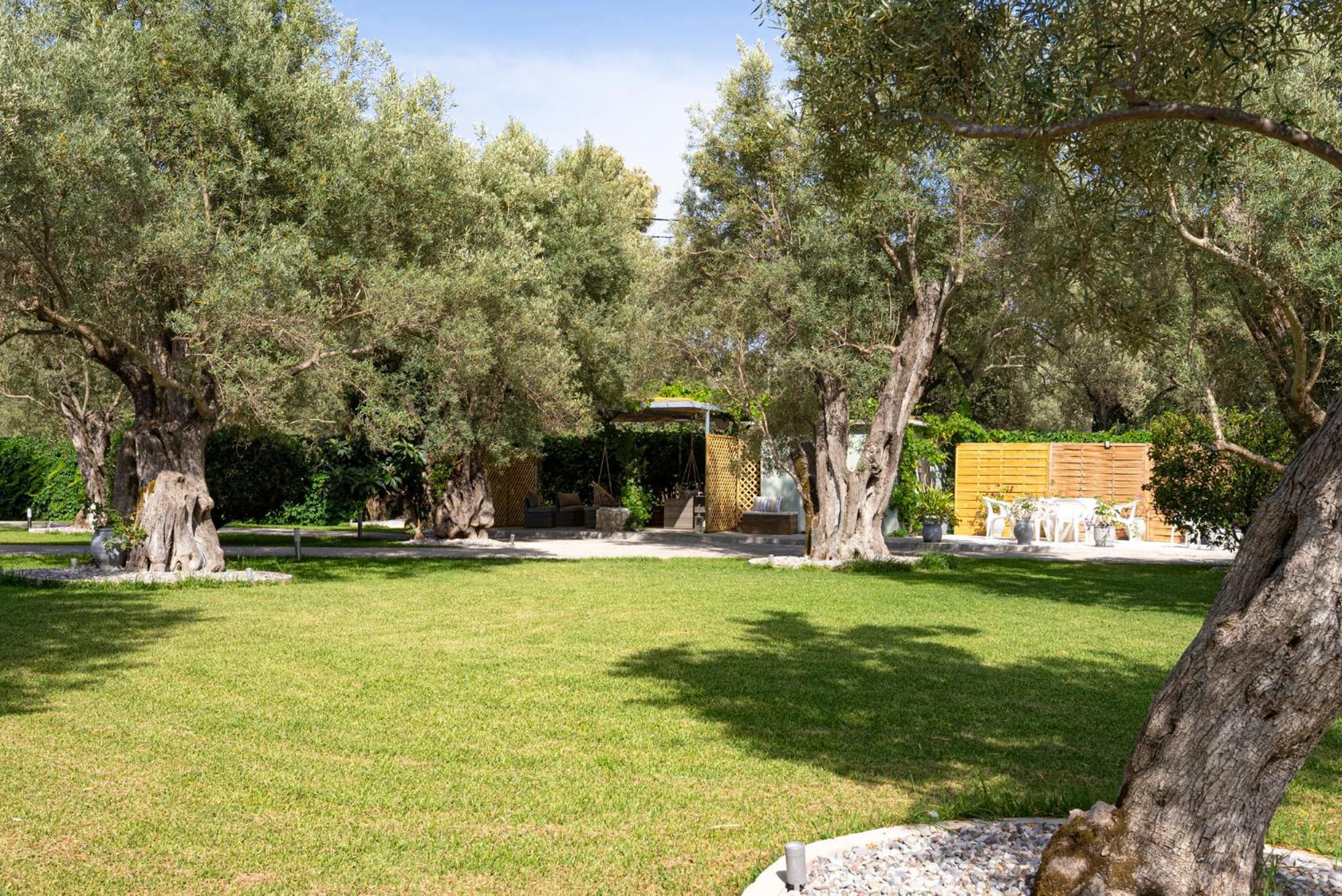 Elaia - Apartments & Studios Lefkada City Exterior photo