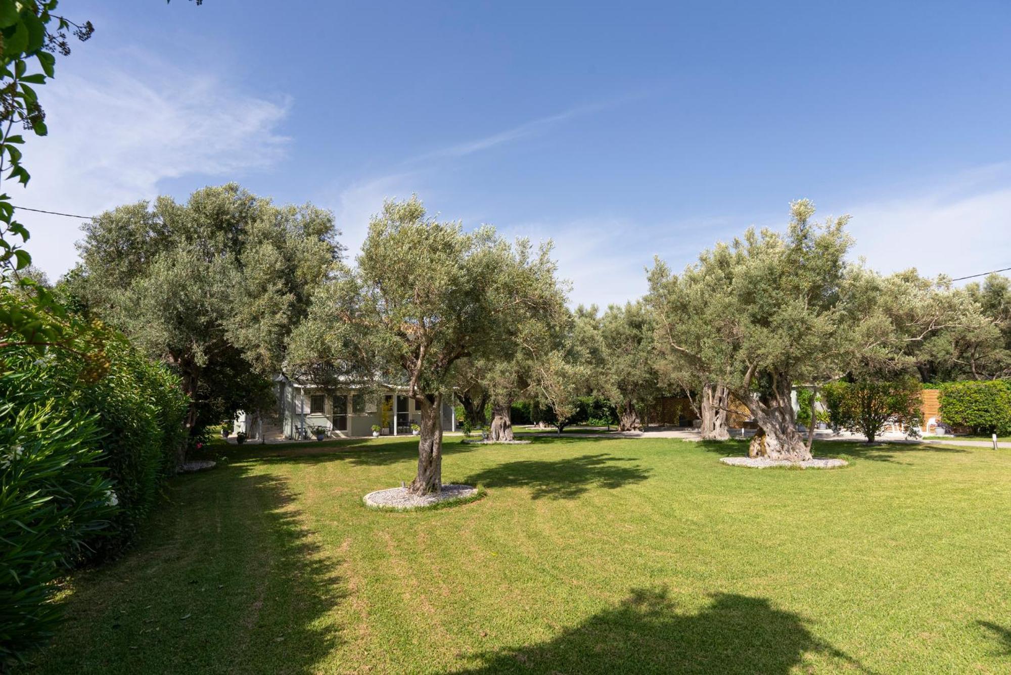 Elaia - Apartments & Studios Lefkada City Exterior photo
